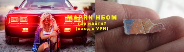 индика Баксан