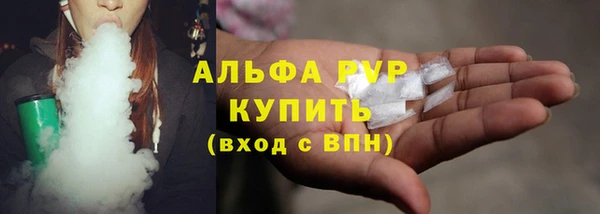 индика Баксан