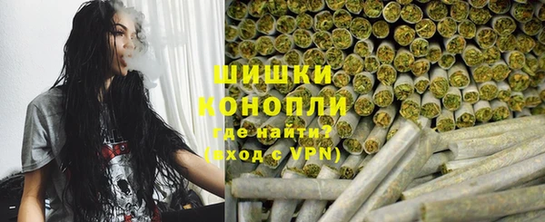 индика Баксан