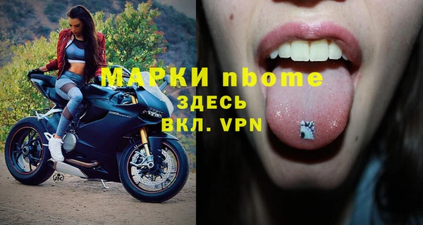 индика Баксан