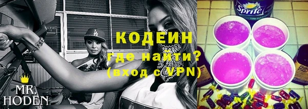 индика Баксан