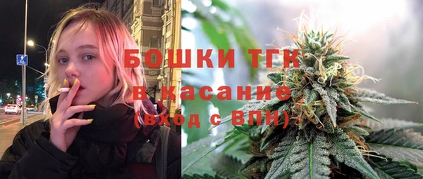 индика Баксан