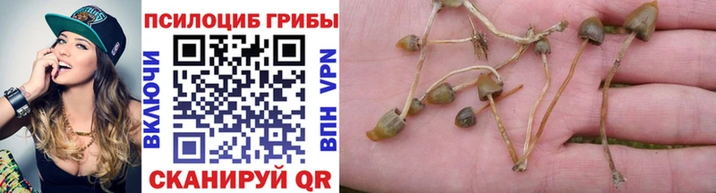 Псилоцибиновые грибы мухоморы  нарко площадка официальный сайт  Нестеровская 