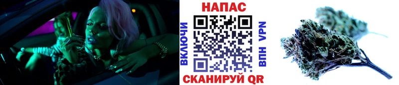 Бошки марихуана сатива  где купить наркотик  Нестеровская 